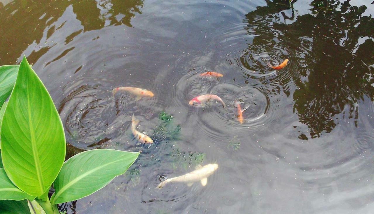 Yesterday Sathon 曼谷 外观 照片